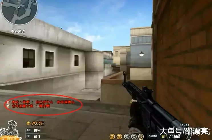 EDG官宣夏季赛大名单：上调Leave，引入原IG中辅